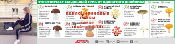 МДМА Белокуриха