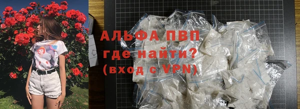 амф Инсар
