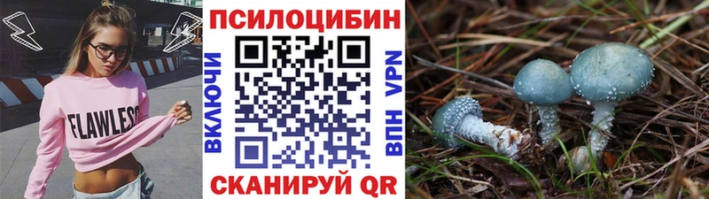 закладки  Плёс  KRAKEN ТОР  Галлюциногенные грибы прущие грибы 